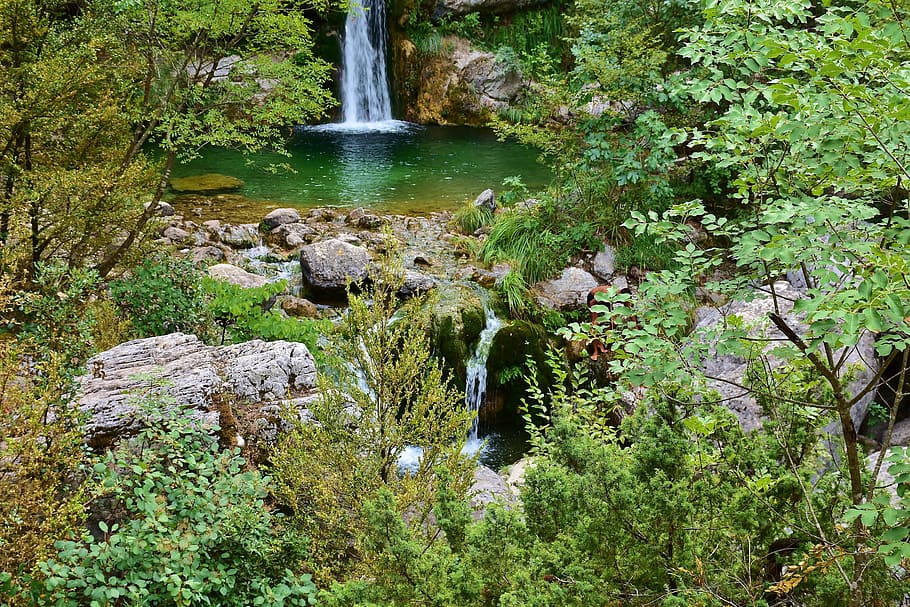 滝, 森, 昼間, 自然, 石, 木, 水, 小さな滝, 風景, 水流
