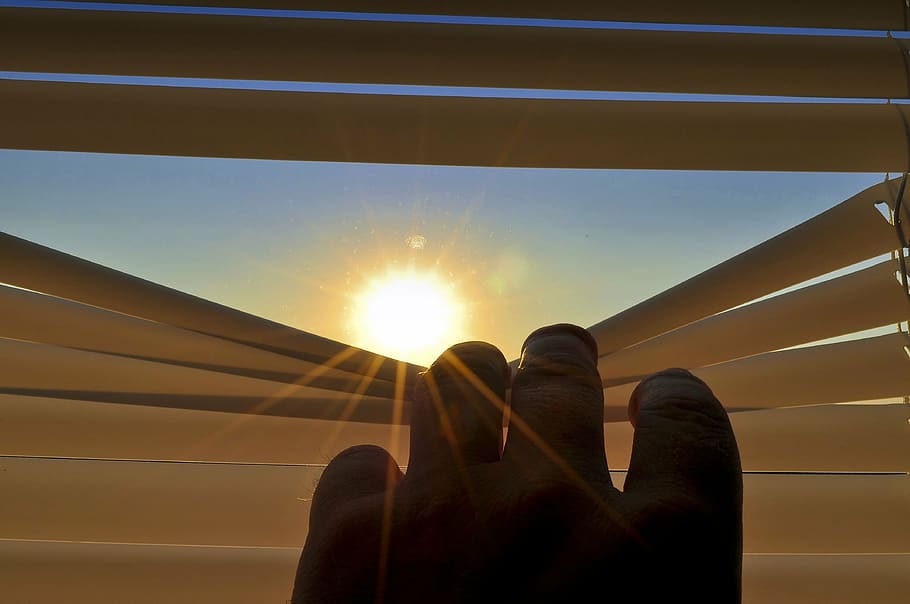 person, looking, sun, window blinds, blinds, roller shutter, open, gap, look, morning