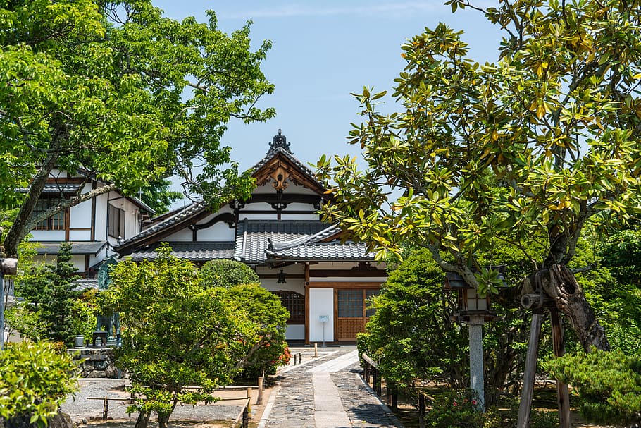 house, green, trees, white, sky, japan, arashiyama, kyoto, temple, nature