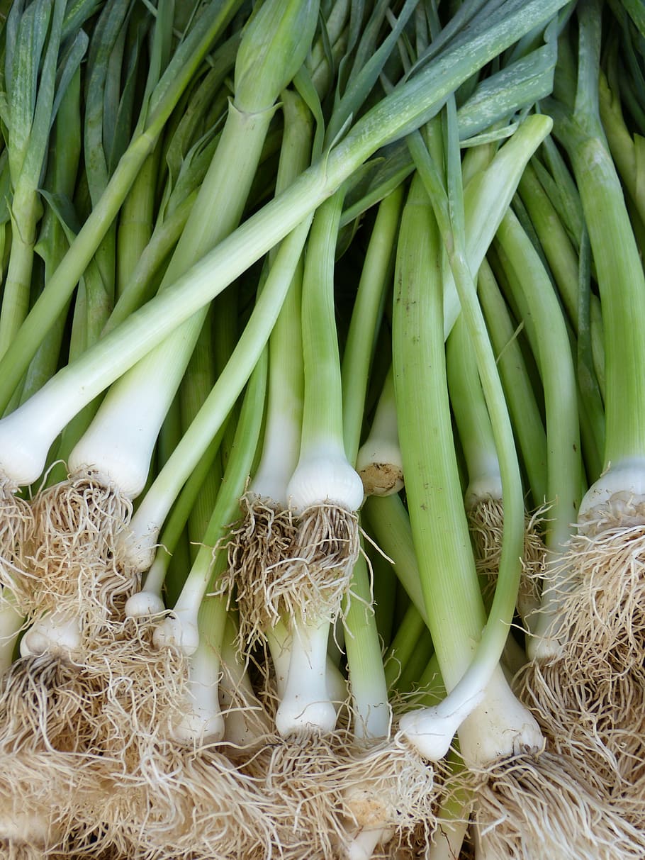 onion leaf lot, leek, spring onion, food, market, vegetables, onion, healthy, vegetable, freshness