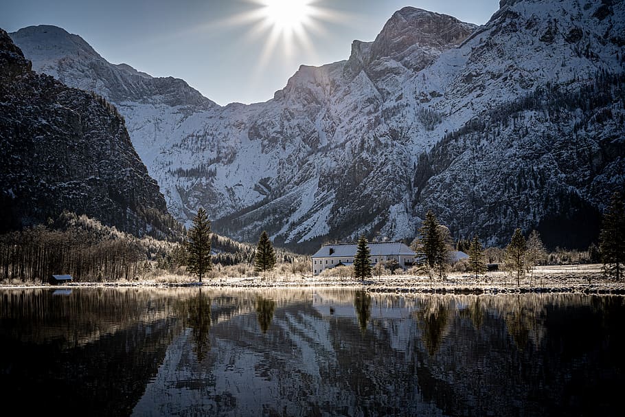 árbol, bosque, paisaje, nieve, lago, Salzkammergut, Alta Austria, luz solar, magia, invierno