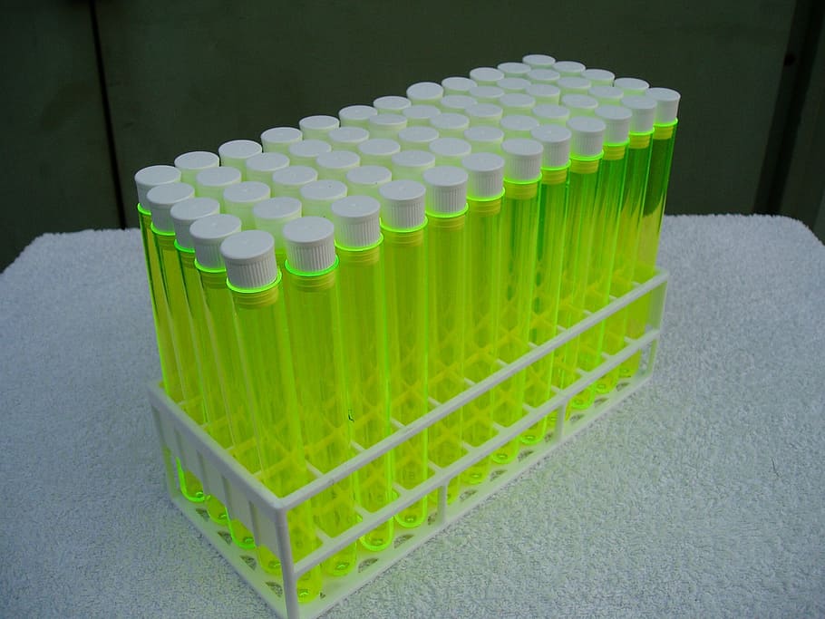 clear plastic tubes, laboratory, neon, yellow, test tubes, chemistry, lab, poison, science, green color