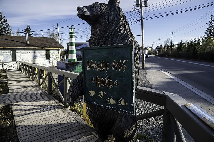 ragged-ass road sign, Bear, Holding, Ragged-Ass road, road sign, Yellowknife, art, canada, northwest territories, old town