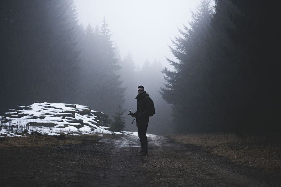 nature, landscape, people, man, alone, woods, forest, travel, adventure, one person