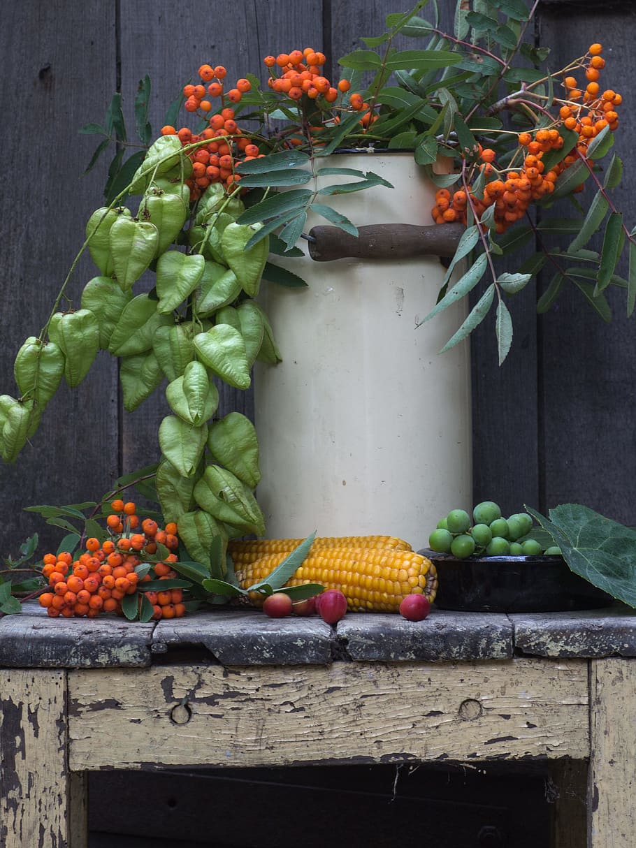 cord fruit, gray, surface, still life, pot, mountain ash, berries, corn on the cob, wooden door, background
