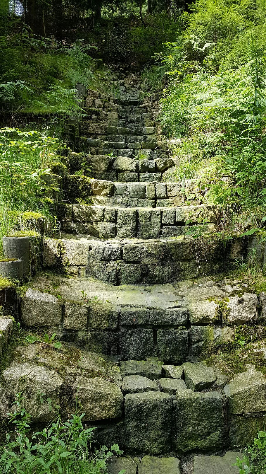 Tangga, Batu, Hiking, tangga batu, secara bertahap, naik, hutan, alam, jalur hutan, hijau