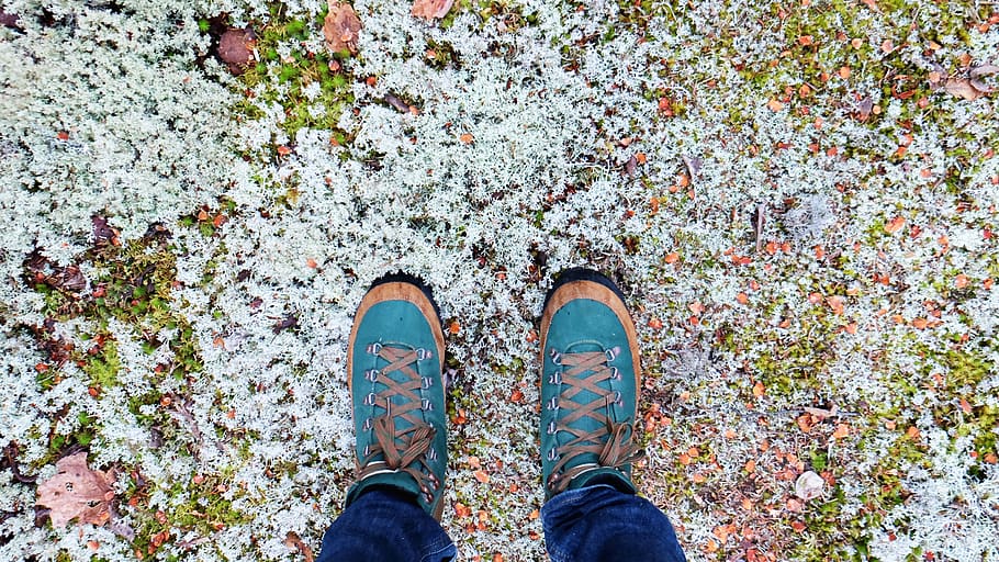 shoes, sneakers, fashion, ground, snow, nature, low section, human leg, body part, shoe