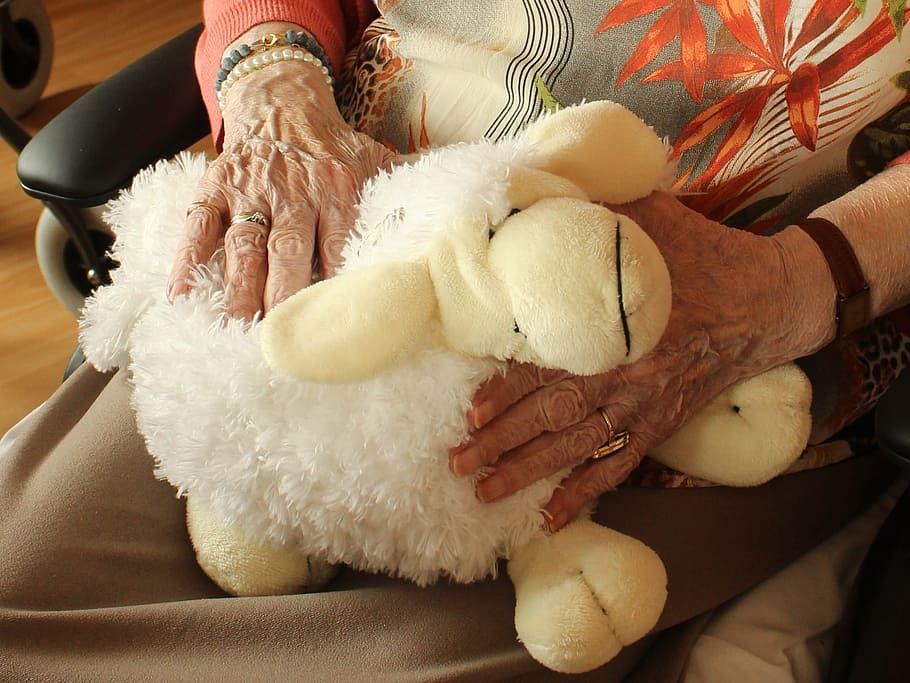 white, sheep, plush, toy, person, lap, old house, granny, grandmother, hands