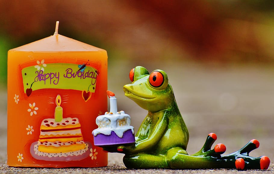 close-up photo, green, frog figurine, orange, candle, happy birthday, birthday, frog, greeting, greeting card