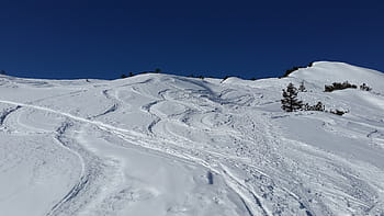 ski-track-traces-snow-backcountry-skiiing-royalty-free-thumbnail.jpg