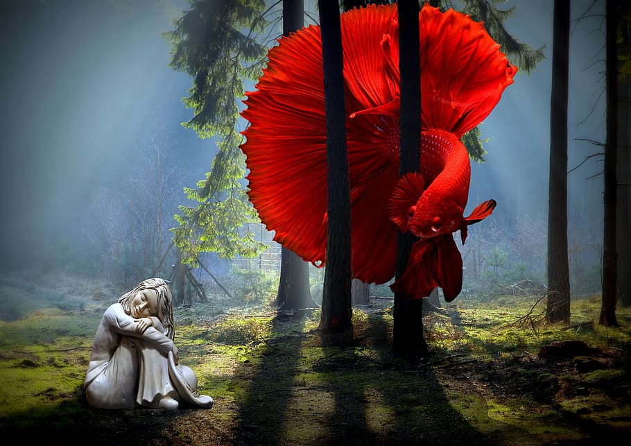 mujer, rojo, pez betta, pescado, bosque, oscuro, luz, estatua, soñador, fantasía