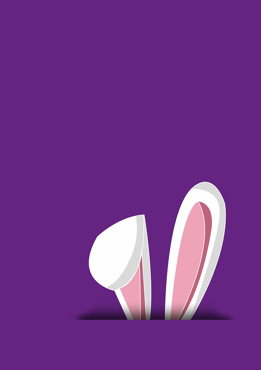 white rabbit illustration, hare, ear, rabbit, easter, animal, long eared, nager, head, ears big