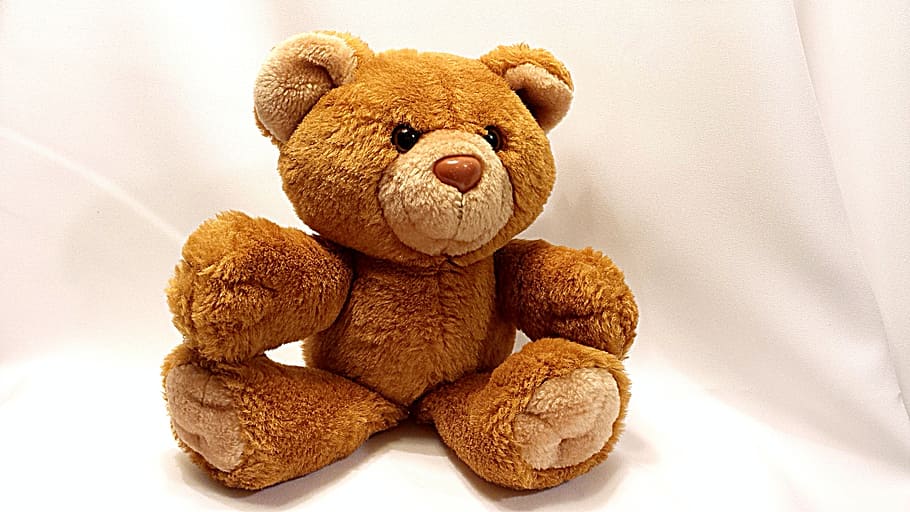 closeup, brown, bear, plush, toy, white, textile, teddy, cute, soft