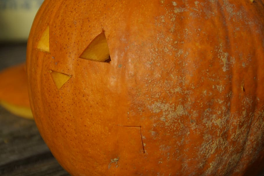 inside-of-a-pumpkin-expert-review