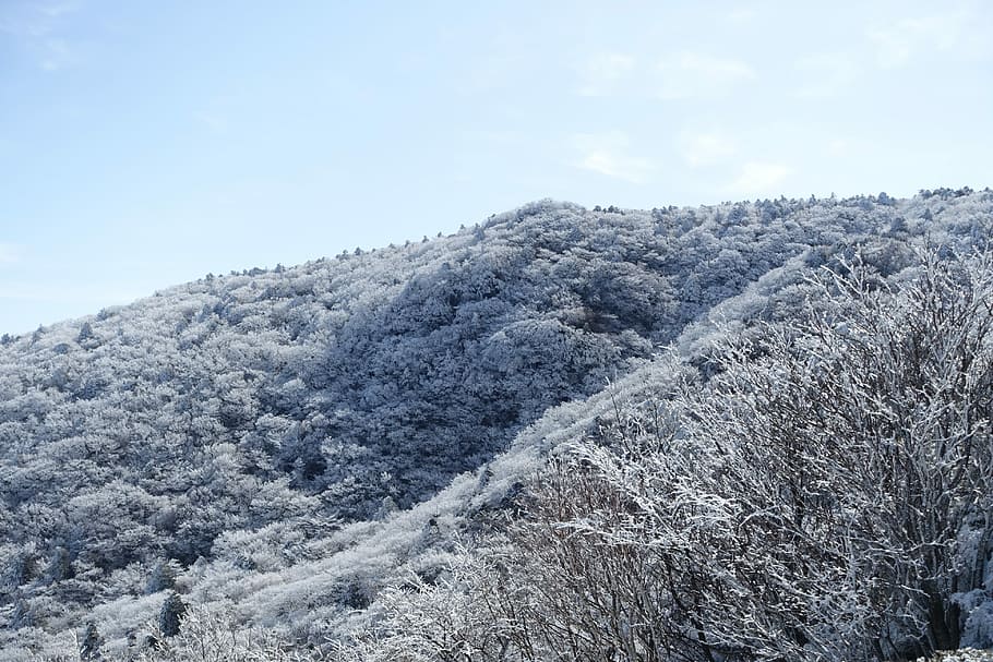 Горная линия. Картинки снега в Дербенте. Cold Pine.