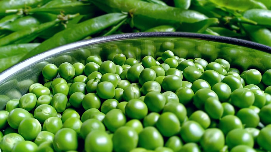 kacang polong, sayuran, hijau, organik, sehat, makanan, segar, alami, warna hijau, makanan dan minuman