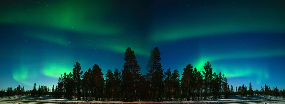 northern, lights, trees panorama photography, aurora, finland, finnish lapland, inari, suomi, arctic circle, lapland