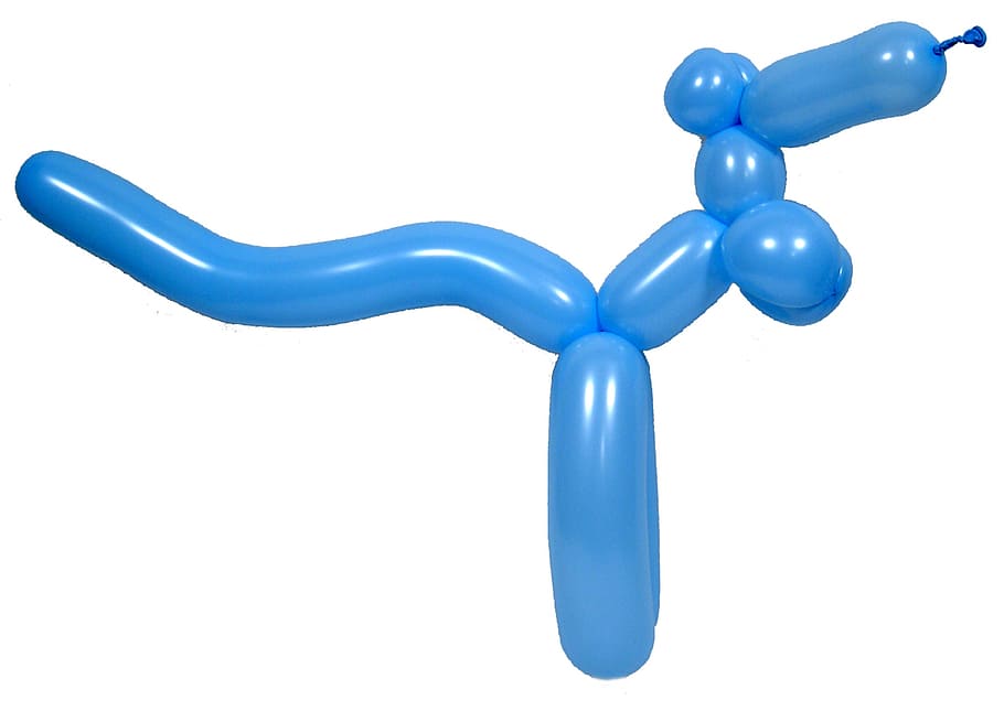 blue pet balloon, balloon, sculpture, kangaroo, fun, child, colorful, toy, animal, childhood