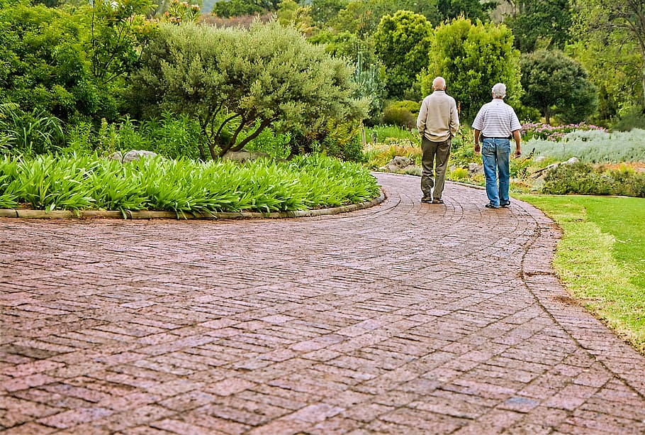 two, men, walking, concrete, pavement, green, plants, old friends, conversation, people talking