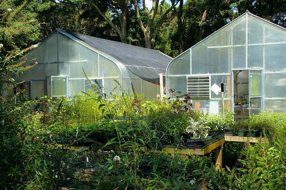 two, glass garden, sheds, greenhouse, glass, buildings, plants, protective, covering, protection