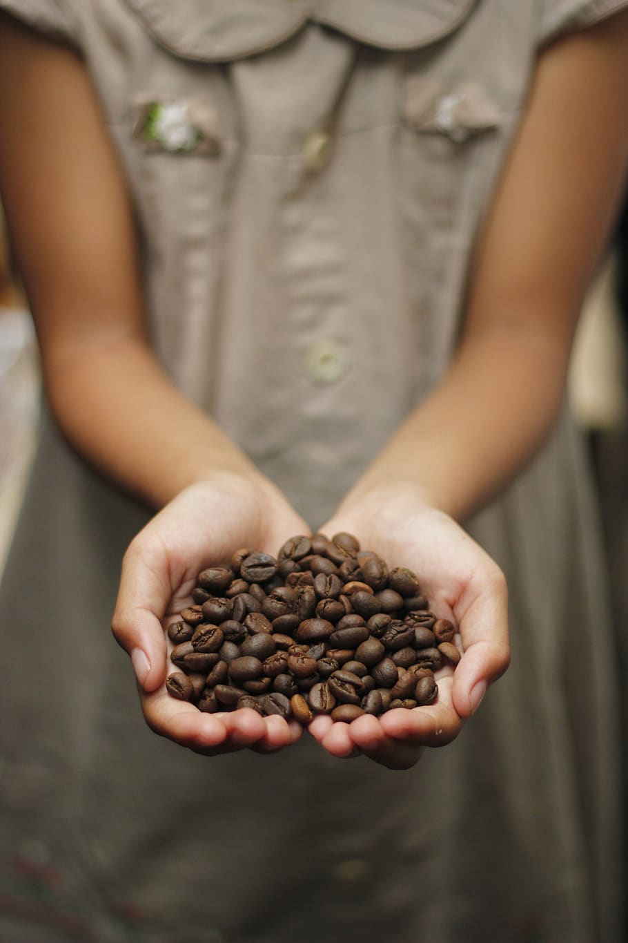 café, grãos de café, aroma, torrado, grãos, expresso, cappuccino, caneca, cafeína, café disponível