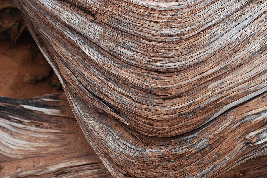 closeup, fotografia, antiga, ranhuras de madeira, madeira, textura, textura de madeira, fundo de textura de madeira, padrão, natural