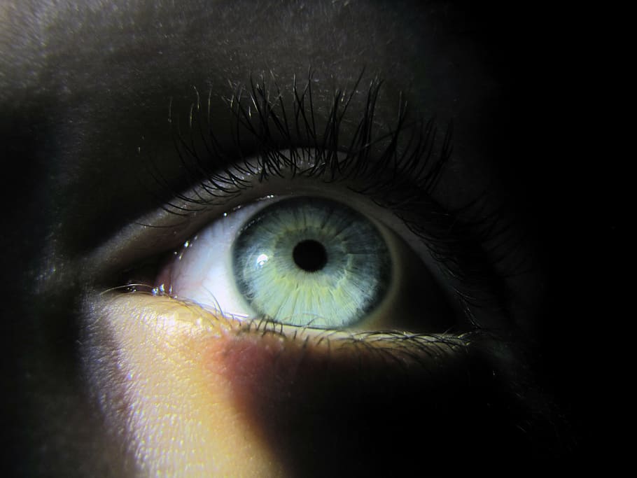 ojo humano derecho, ojo, szupermakró, macro, iris, reloj, pestañas, piel, ojo humano, globo ocular