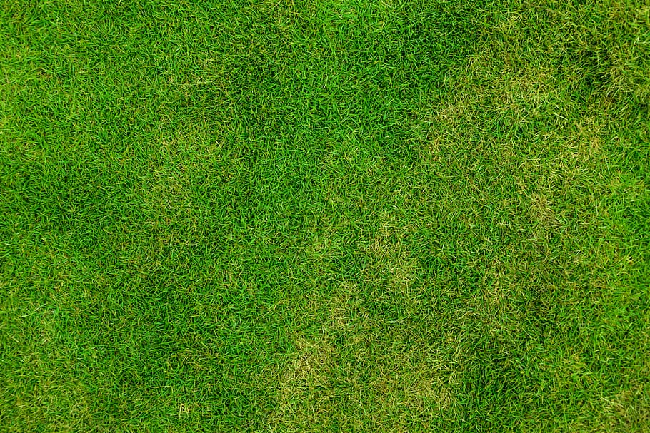 поле зеленой травы, Абстрактные, фон, задний план, поле, футбол, Свежий, гольф, трава, Зеленый