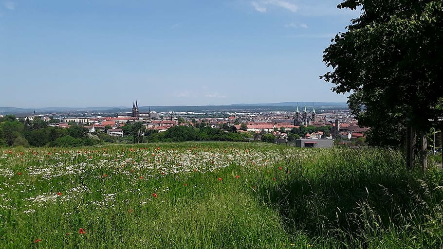 bamberg, skyline, view, altenburg, old castle road, spring, plant, architecture, water, nature