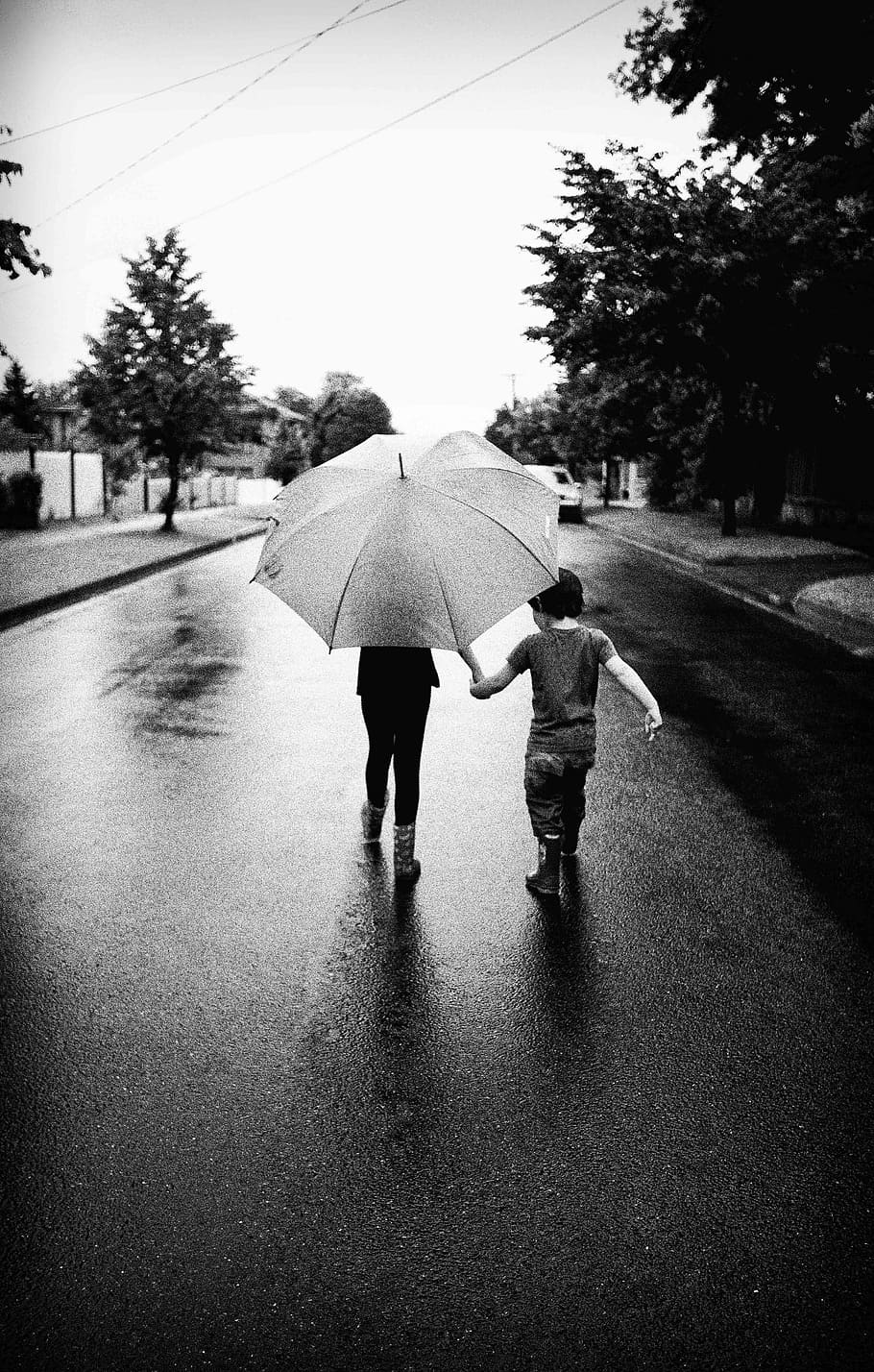 Paraguas, Caminando, Al aire libre, lluvia, jóvenes, vertiendo, diversión, blanco y negro, calle, barrio