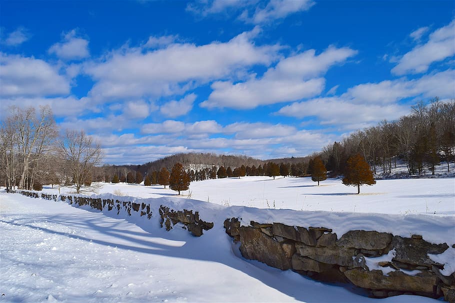 Stone Wall, Snow, Perspective, Winter, wall, stone, nature, cold, landscape, covered