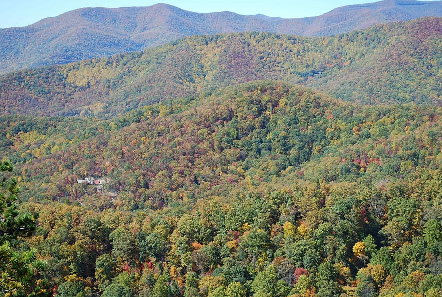 azul, montañas ridge, montañas Blue Ridge, otoño, carolina del norte, montaña, naturaleza, día, pintorescos, al aire libre