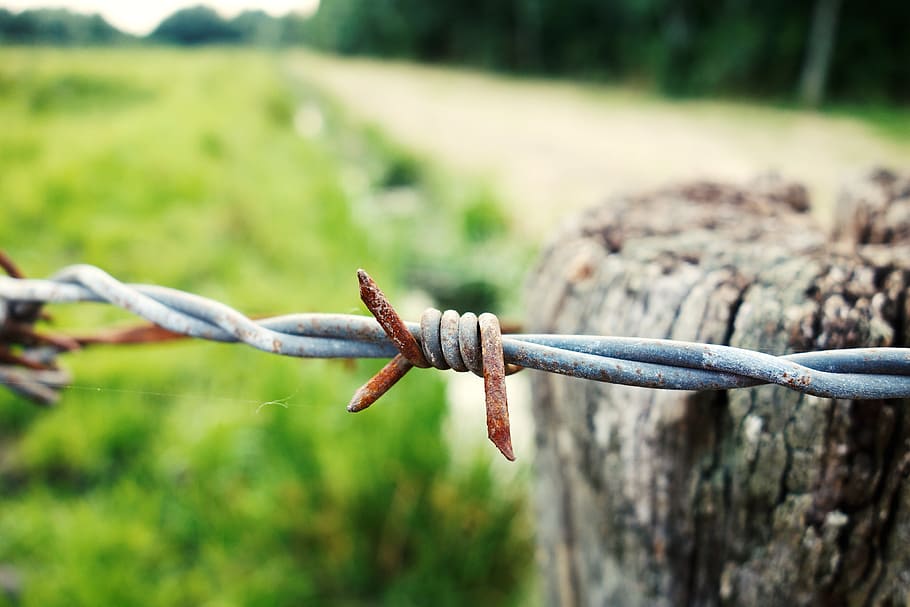barbed wire, wire, fence, barb, sharp, barrier, post, field, rural, safety