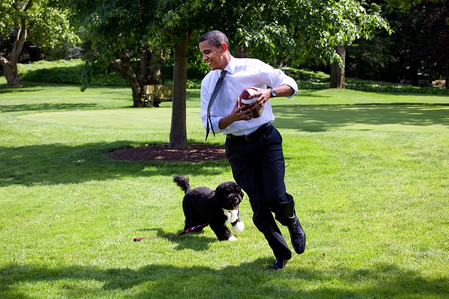 barrack obama fotografía, barack obama y bo, 2009, jugar, correr, bo es el perro de la familia, perro de agua portugués, obama sonriendo, sonreír, relajarse