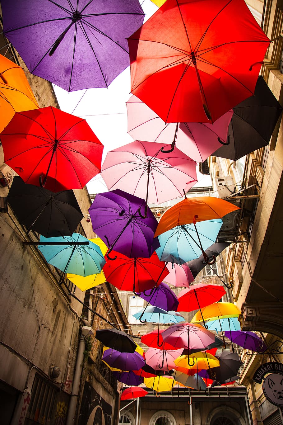 여러 색상 우산, 교수형, 공기, 우산, 색상, 행복, 오픈, 보호, 멀티 컬러, 보안