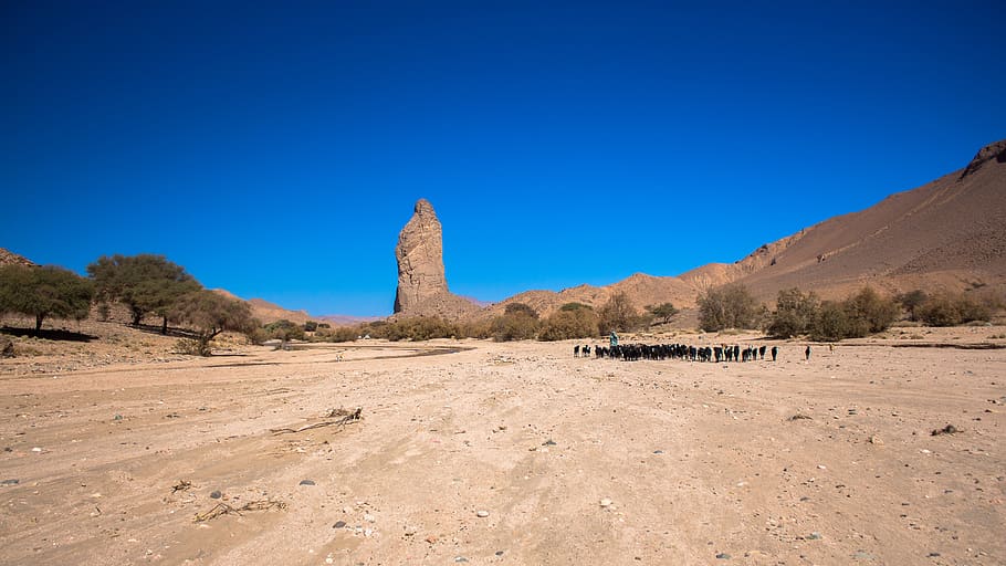 wadi tanget, hoggar, desert, sand, dry, nature, sky, blue, land, landscape