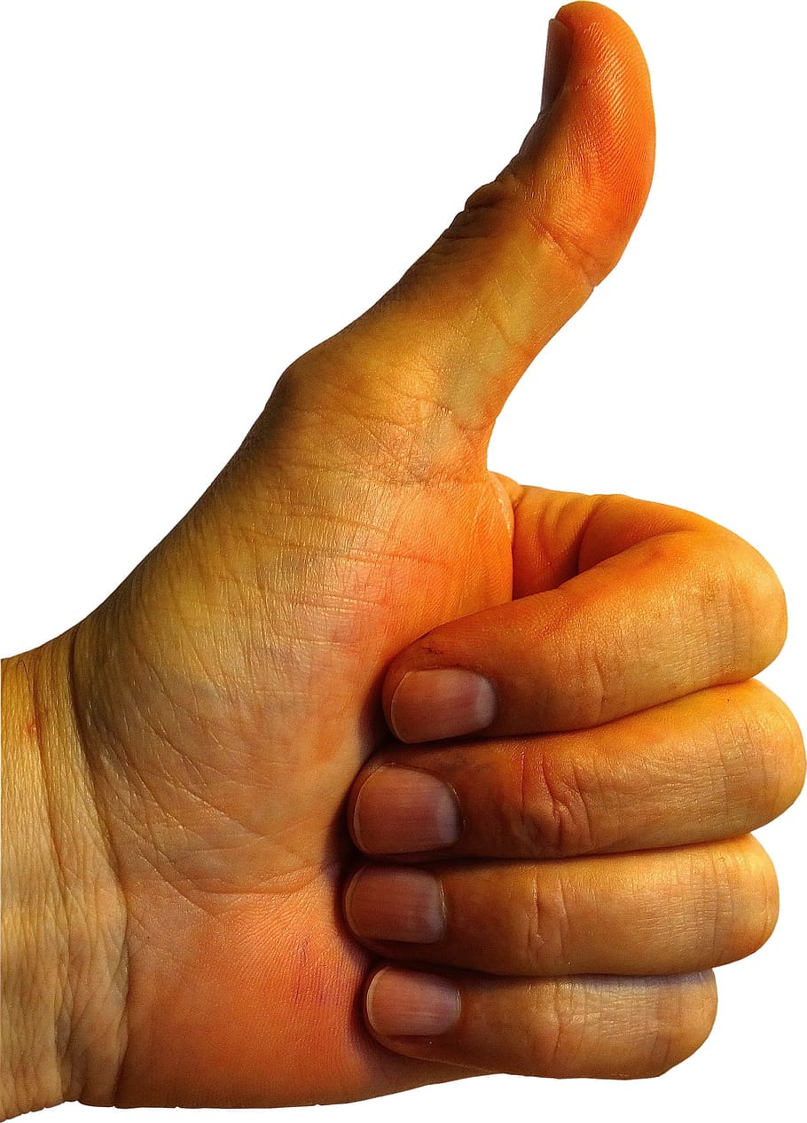 person's thumb, Thumbs Up, Finger, Sign Language, thumb, motivation, full well, top, positive, human Hand