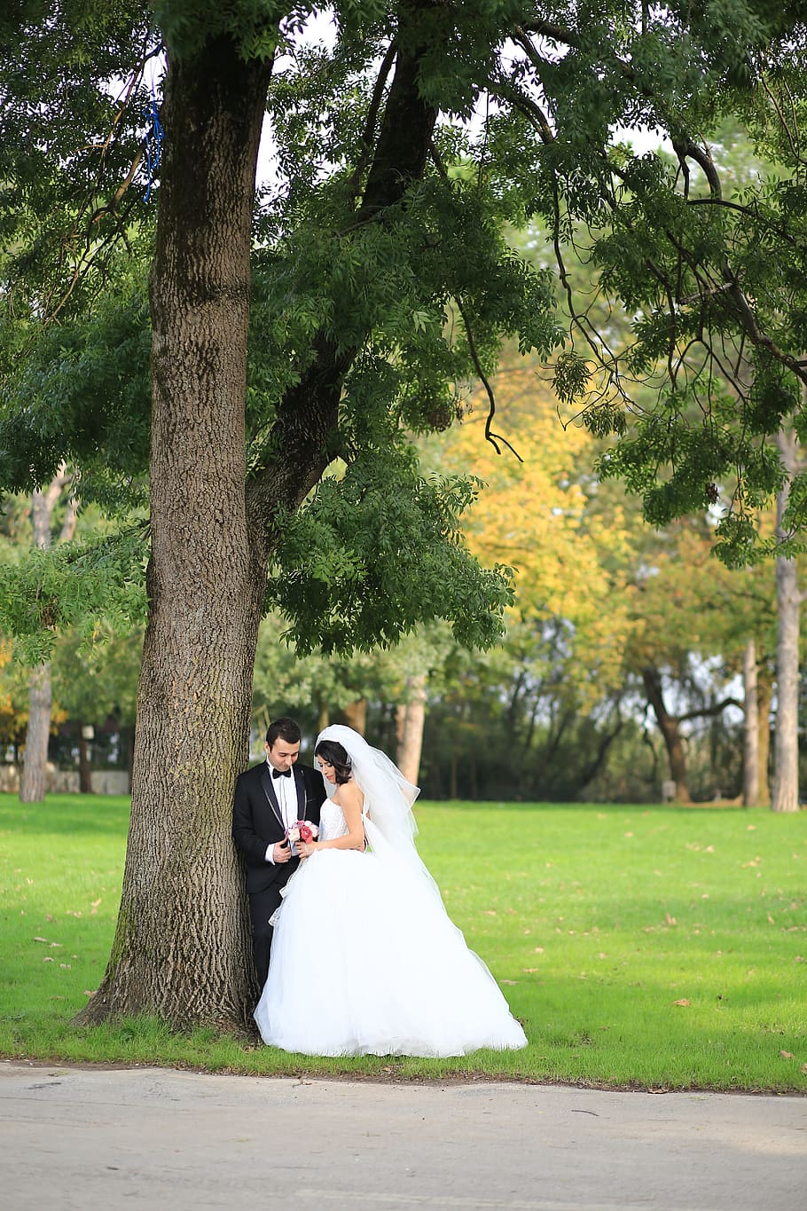 naturaleza, nueva pareja, fotografía al aire libre, fotografía de bodas, boda, novia, recién casado, planta, árbol, vestido de novia