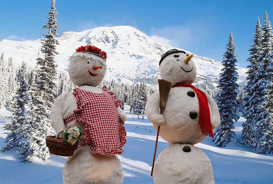 photography, snowmen ornaments, snowmen, winter, snow, wintry, winter forest, winter dream, cold temperature, snowman