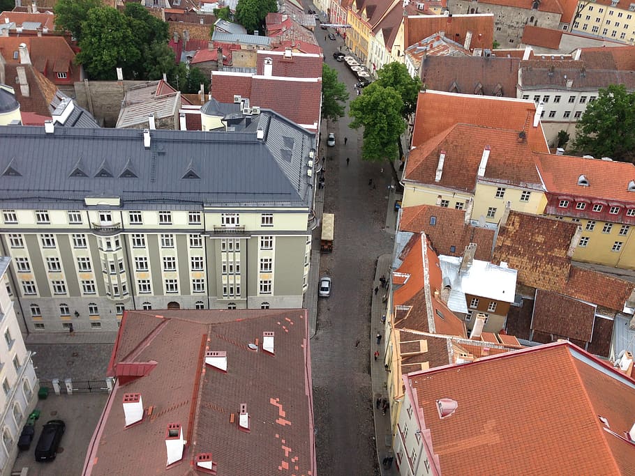 Tallin, ciudad, calle, adoquines, estonia, europa, báltico, turismo, techo, al aire libre