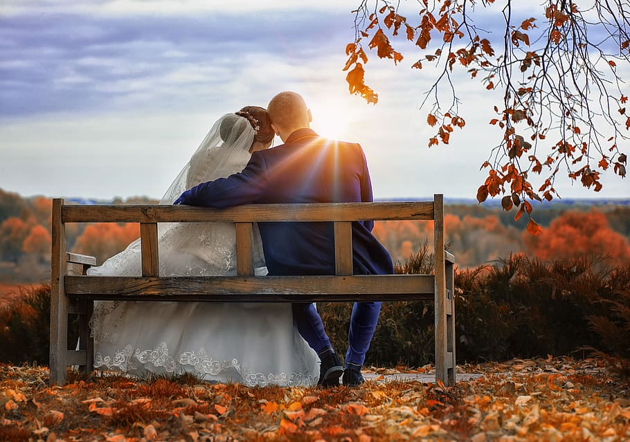 bride, wedding, the groom, love, sky, real people, nature, sunlight, autumn, bench