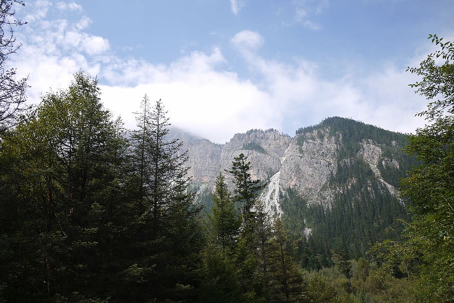 jiuzhaigou, mountain, distant hills, the scenery, the clouds, white cloud, tree, plant, forest, sky