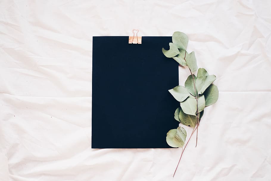 black, clipboard, white, surface, bed, sheet, green, plant, leaves, indoors