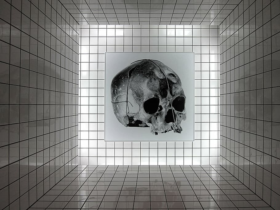 art, skull, centre pompidou, raynaud, installation, indoors, human body part, bone, human skull, animal themes