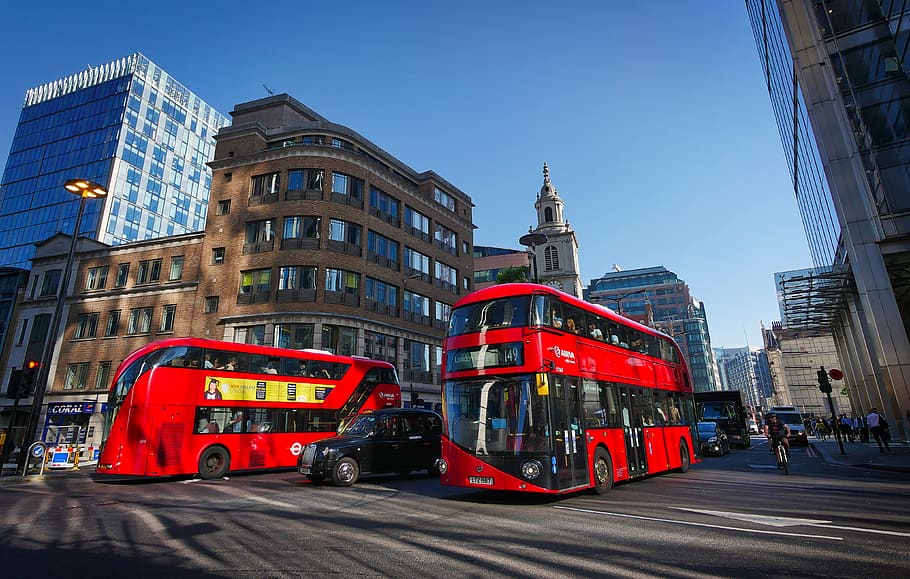 two, red, double-deck, buses, building, london, bus, junction, downtown, street scene