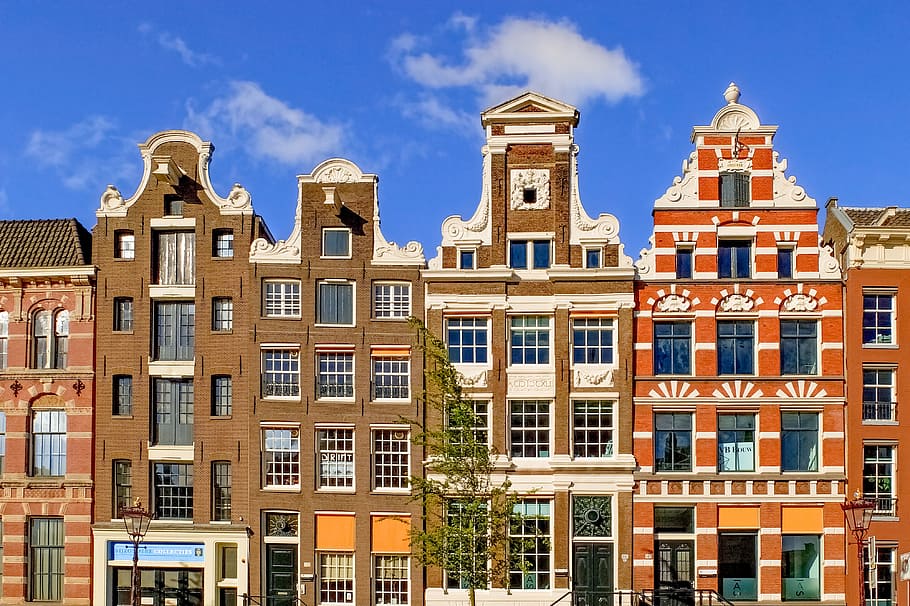 white, brown, building, home, house, facade, brick, architecture, amsterdam, netherlands