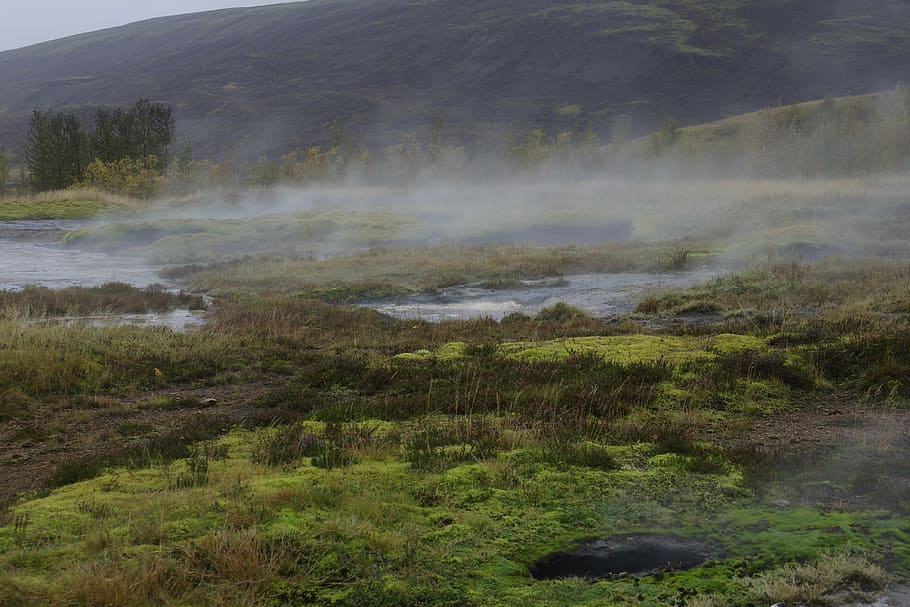 icelandic, geyser, geothermal, water, volcanic, hot, beauty in nature, scenics - nature, plant, tranquility
