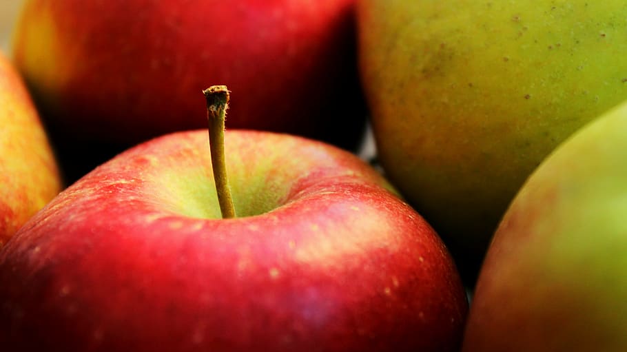 Rojo, verde, foto de primer plano de manzana, manzana, fruta, comer, cultivo, vivir, comida, jardín