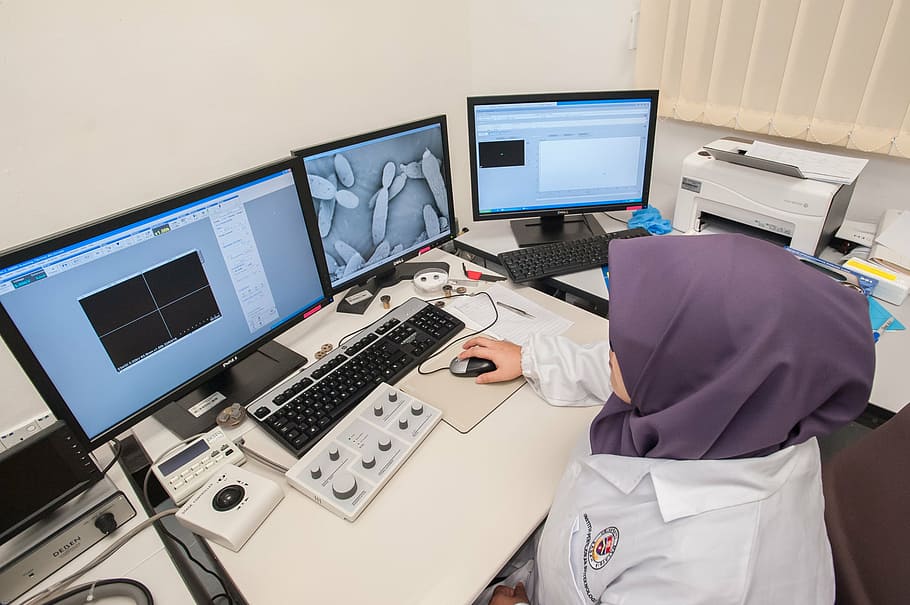 scanning electron microscope, universiti malaysia sabah, biotechnology research institute, computer, technology, computer equipment, occupation, healthcare and medicine, computer monitor, hospital