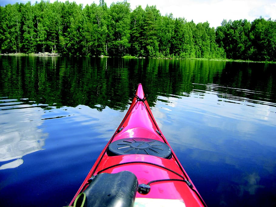 canoe, lake, forest, finnish, summer, water, tree, transportation, plant, kayak